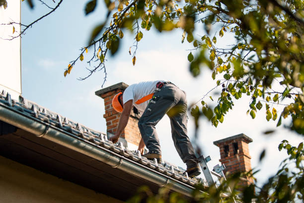 Best Flat Roof Repair Services  in Esko, MN