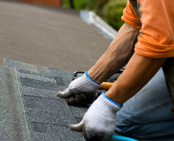 Professional Roofing Contractor in Esko, MN