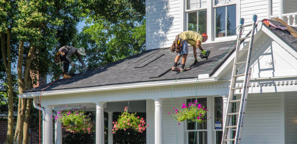 Best Roof Gutter Cleaning  in Esko, MN